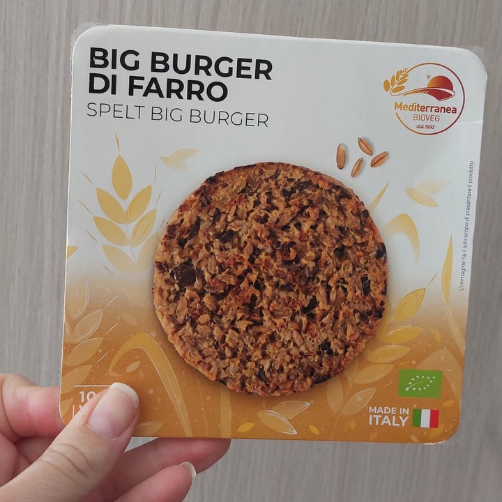 photo of Mediterranea BioVeg big burger di farro shared by @twocabbageskitchen on  14 Jun 2022 - review