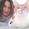 consulentefelina @consulentefelina profile image