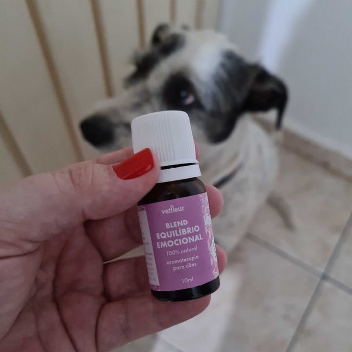 review photo of Vetfleur Blend Equilíbrio Emocional - aromaterapia para cães shared by @renatacarneiro on 27 Apr 2022 - review