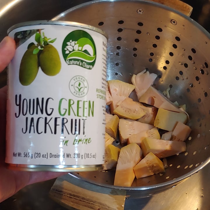 photo of Nature's Charm Jackfruit Young Green shared by @chado on  25 Oct 2021 - review