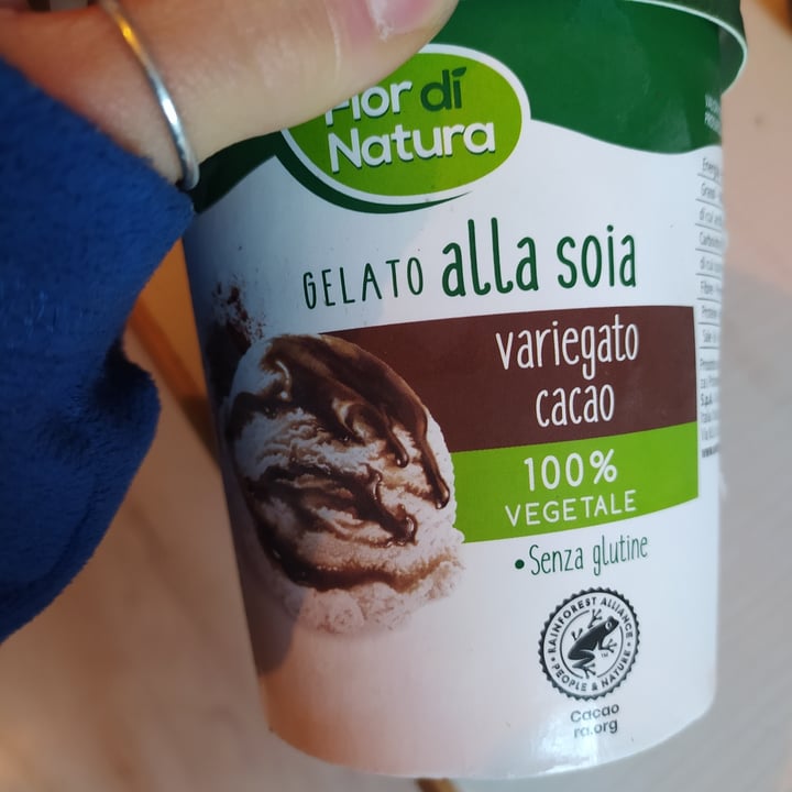 photo of Fior di Natura Gelato Alla Soia Variegato Cacao shared by @giumrg on  27 Apr 2022 - review