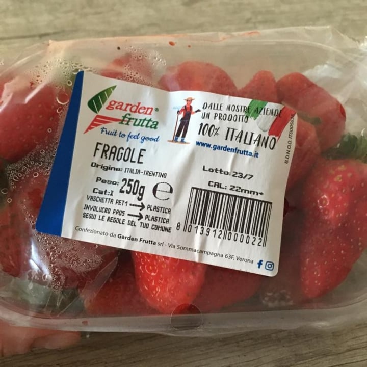 photo of Garden frutta Fragole shared by @laupaa on  20 Jun 2022 - review