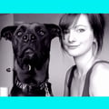 sha @sha profile image