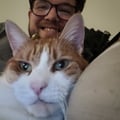 utbies88 @utbies88 profile image