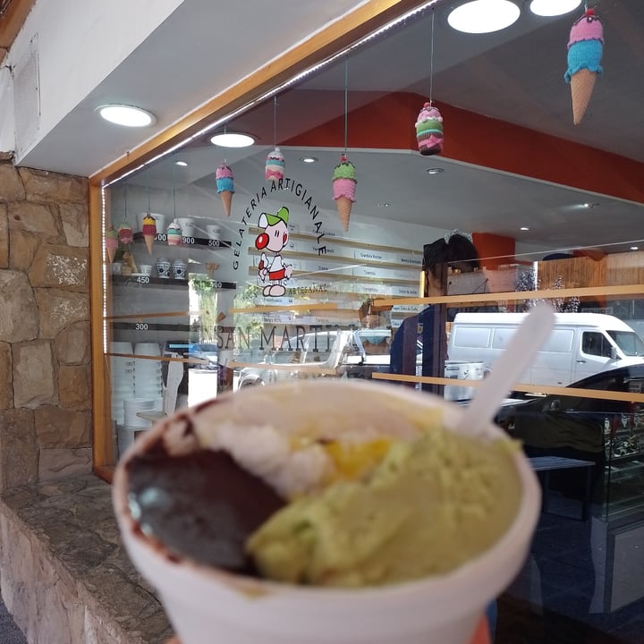 photo of Heladería Artesanal San Martín Helados shared by @lafloravegana on  15 Mar 2022 - review