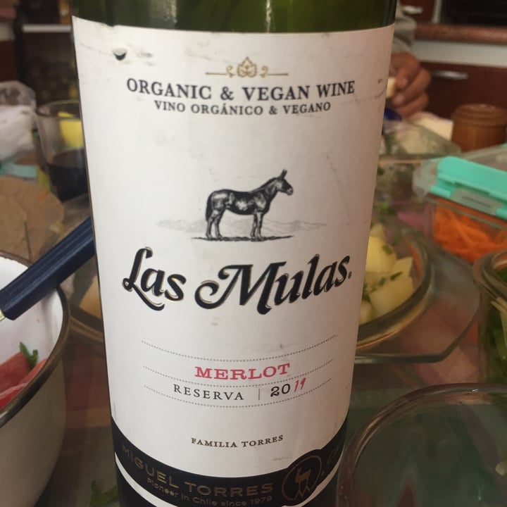 review photo of Viña Miguel Torres Vino Carnenére Reserva Las Mulas shared by @belenbigoldflo on 09 Apr 2021 - review
