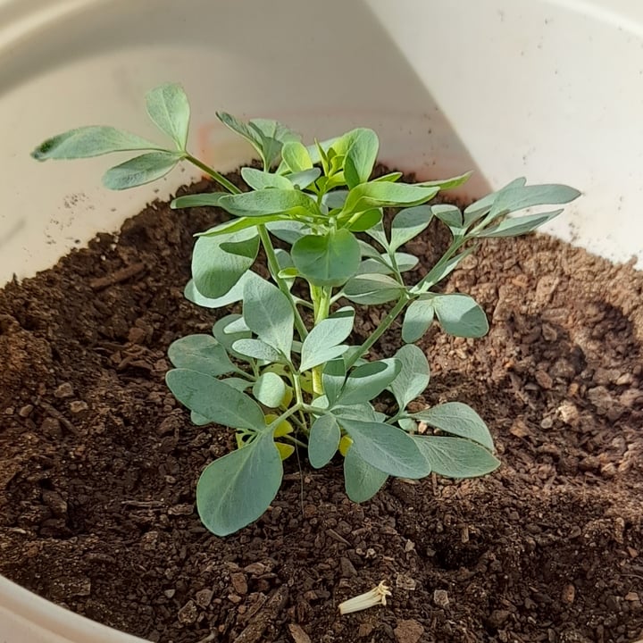 review photo shared by @danireich on 10 Jul 2022 - post