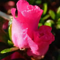 solemar62022 @solemar62022 profile image