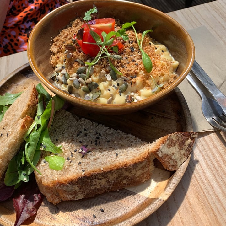 photo of Bonobo Cafe Vegan Mac Cheese shared by @cuttingoutthecoo on  06 Jun 2021 - review