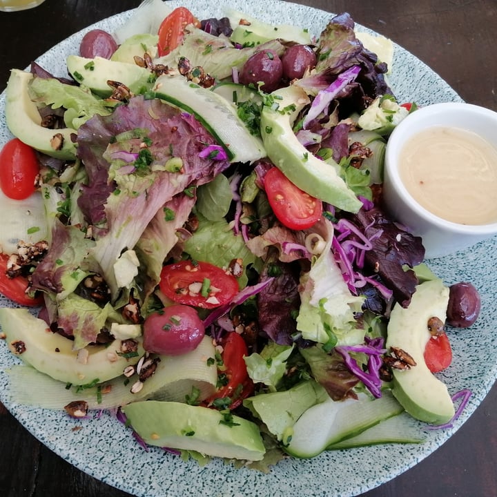 review photo of Whole Earth Cafe Salad Love shared by @cait6 on 26 Jul 2022 - review