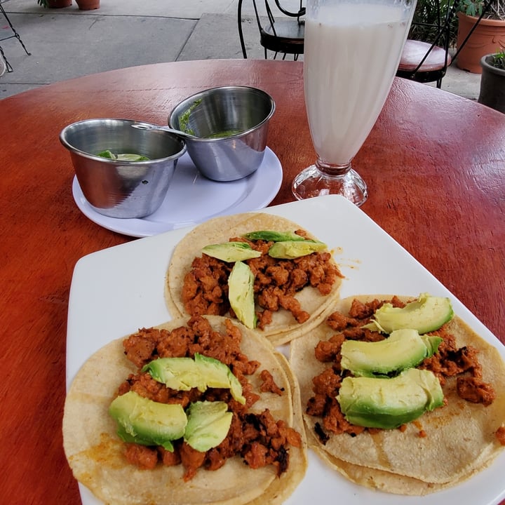 photo of The Red Pill restaurante Tacos Variados Red pill shared by @lvaldosan on  28 Jun 2021 - review