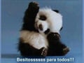 omar0505 @omar0505 profile image