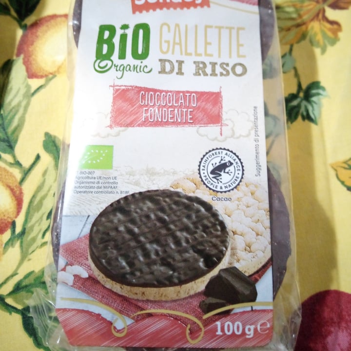 photo of Sondey Bio gallette di riso con cioccolato fondente shared by @matteoveg on  15 Aug 2022 - review
