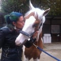 aury1979 @aury1979 profile image