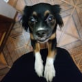 claudyoli @claudyoli profile image