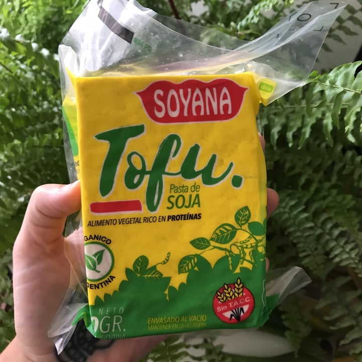 review photo of Soyana Tofu shared by @lcircel on 31 Jan 2021 - review