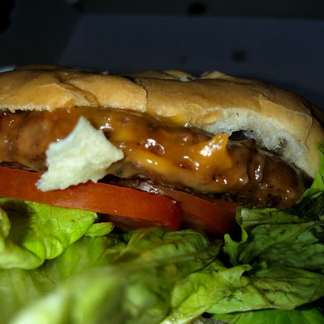 Photo of the dish “Not Burguer Fresca”
