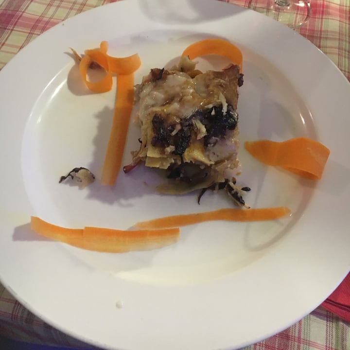 photo of Veganda Lasagna Radicchio E Funghi shared by @ilaarix on  19 Dec 2022 - review