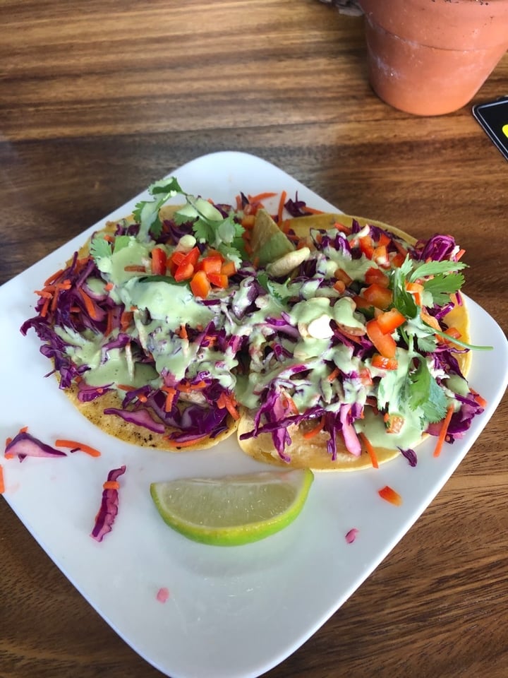 photo of The Beet Box Cafe Thai tacos shared by @808vegans on  07 Jan 2020 - review