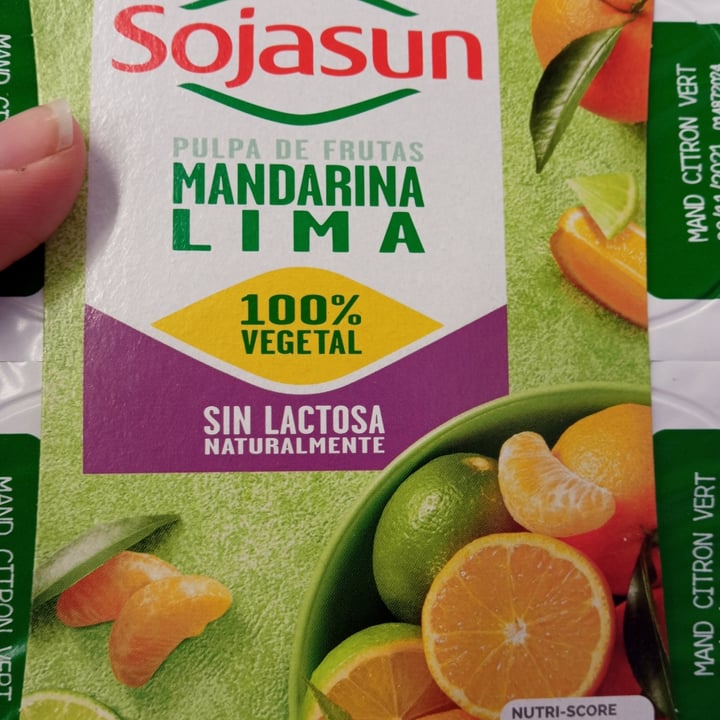 photo of Sojasun Yogur mandarina y lima shared by @lalocadelosgatos8 on  31 Oct 2021 - review