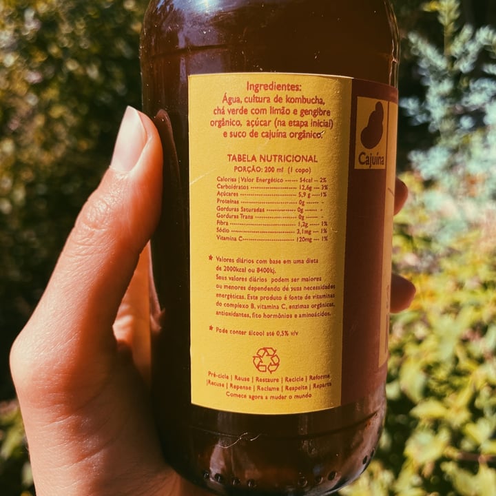 photo of Simplesmente kombucha Kombucha de cajuína shared by @vivianneyuki on  20 Aug 2022 - review