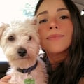 losperrosdesandy @losperrosdesandy profile image