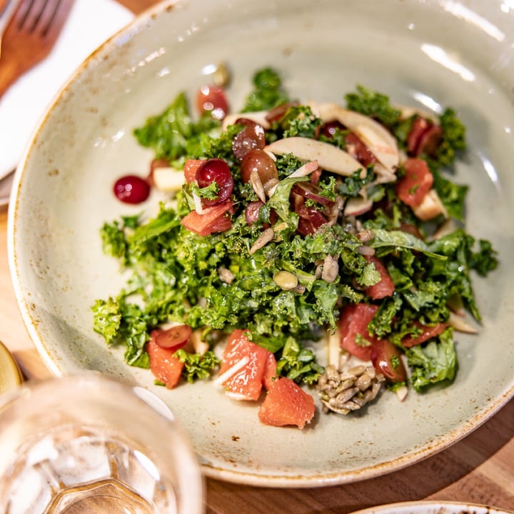 review photo of Am I Addicted - Pottery Studio & V Cafe Kale Waldorf Salad shared by @theherbivorefrog on 26 Aug 2022 - review