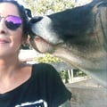 susanacruz @susanacruz profile image