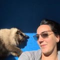 @patriciakhoury profile image