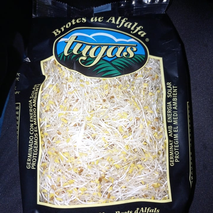 photo of Tugas Brotes de alfalfa shared by @jester on  09 Mar 2022 - review