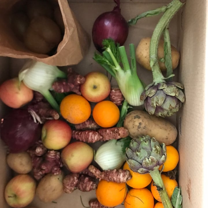 photo of Babaco box Jungle box shared by @roru on  12 Apr 2022 - review