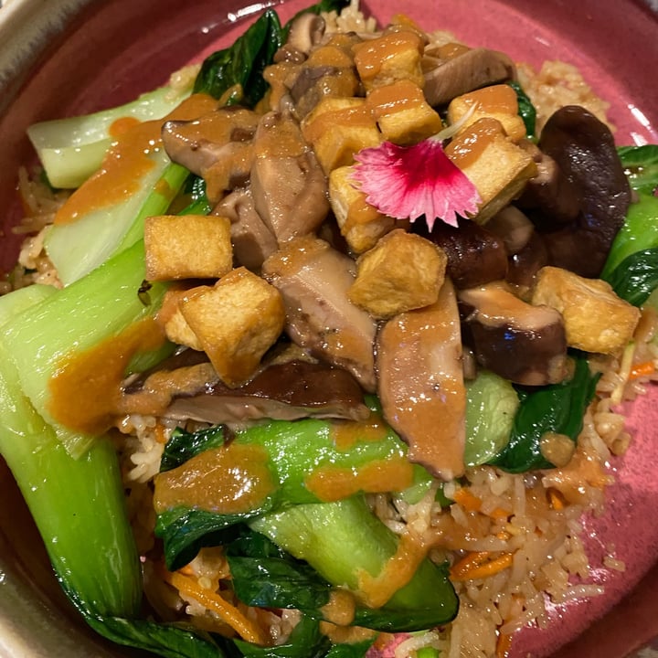 photo of Soulgreen Japanese bowl shared by @ilariaaiello on  06 Jun 2022 - review