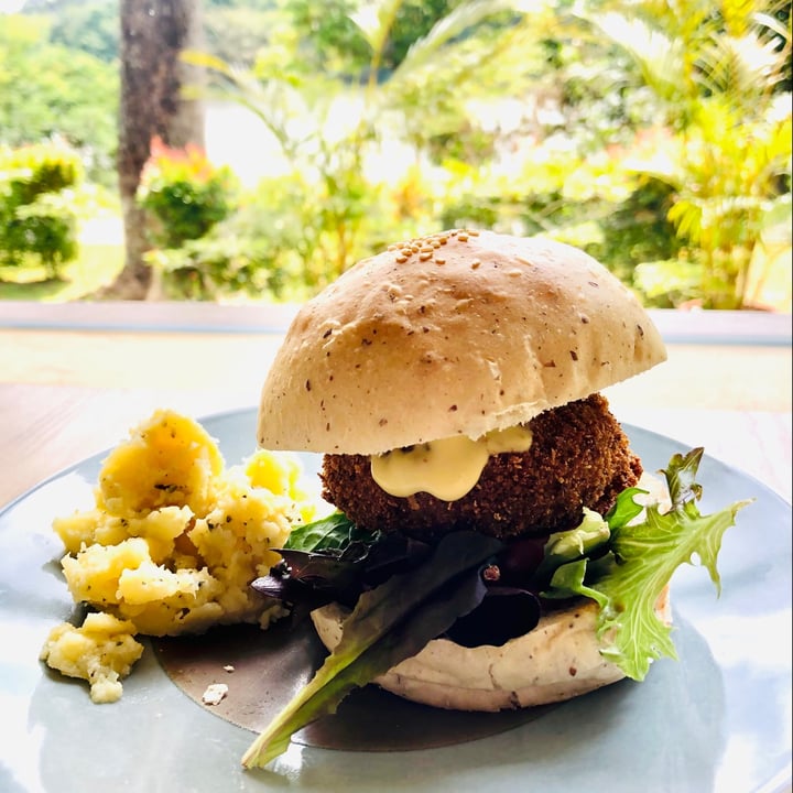 photo of Real Food Lentil Quinoa Croquette Burger shared by @vcatnaps on  17 Feb 2021 - review