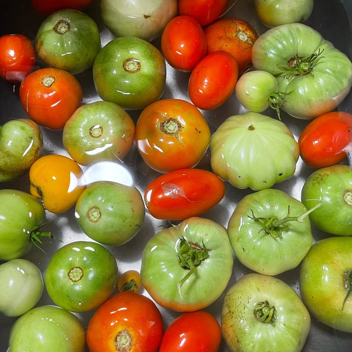 review photo shared by @vegangracie on 16 Aug 2022 - post