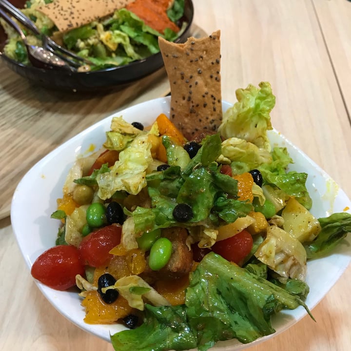 photo of SaladStop! Habibi shared by @applepancakes on  11 Oct 2020 - review