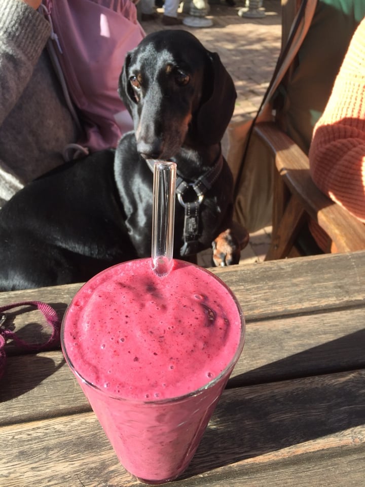 photo of Pure Café Berry smoothie shared by @sanctuarymike on  17 Jul 2019 - review