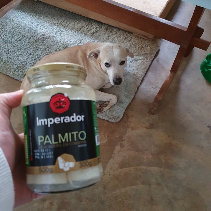 review photo of Imperador Palmito de açaizeiro em conserva shared by @patuaoficina on 21 Jun 2022 - review