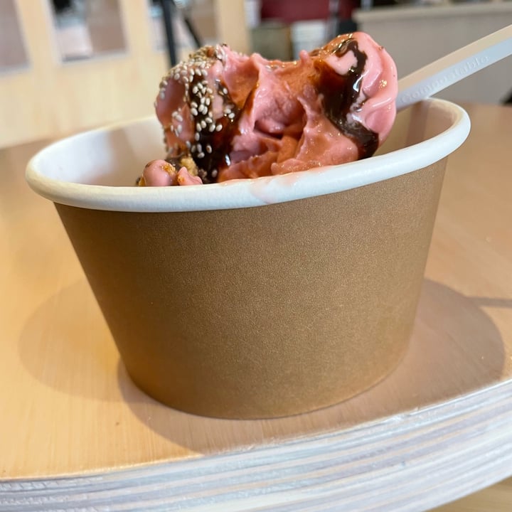 review photo of goje Frozen Yoghurt shared by @hannahthevegan on 15 Nov 2022 - review