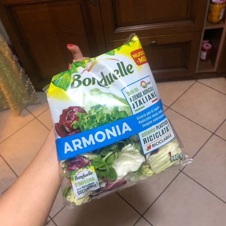 photo of Bonduelle Insalata Armonia shared by @mamartix on  22 Aug 2022 - review