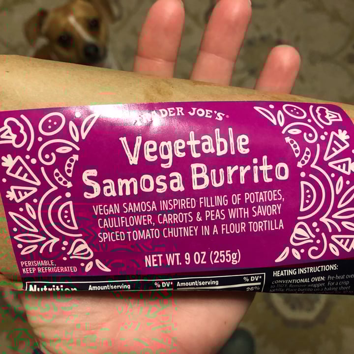 Trader Joe's Vegetable Samosa Burrito Review abillion