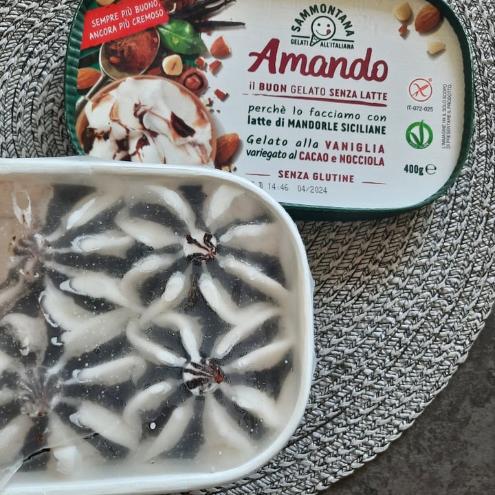 photo of Sammontana Amando gelato alla vaniglia variegato al cacao e nocciola shared by @emiott on  08 Jul 2022 - review