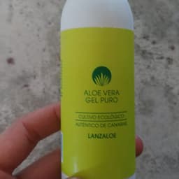 Lanzaloe