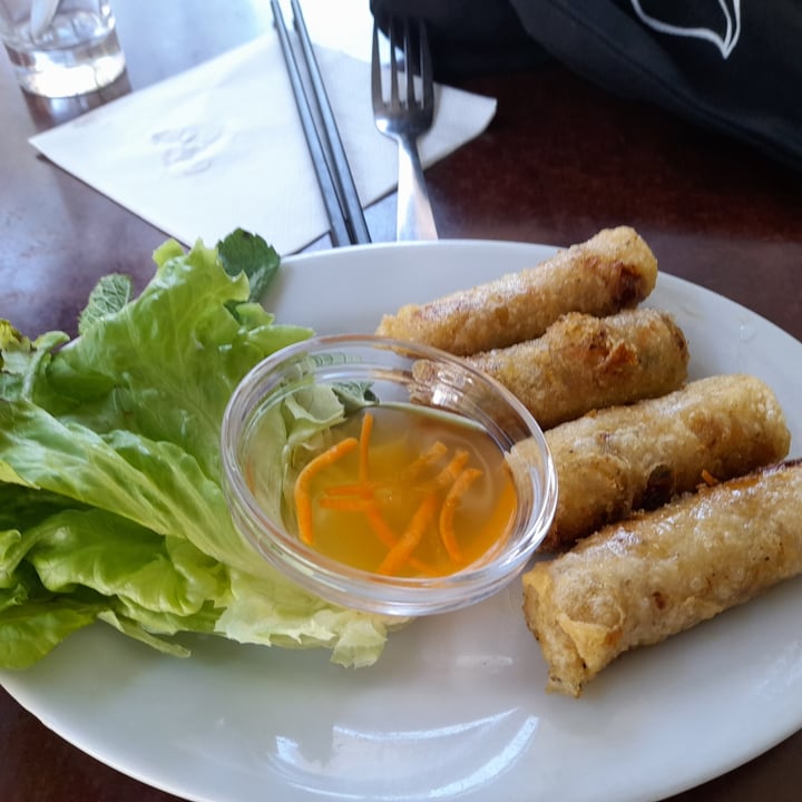 photo of Bodhi Vegan Nems shared by @alice50 on  08 Aug 2022 - review