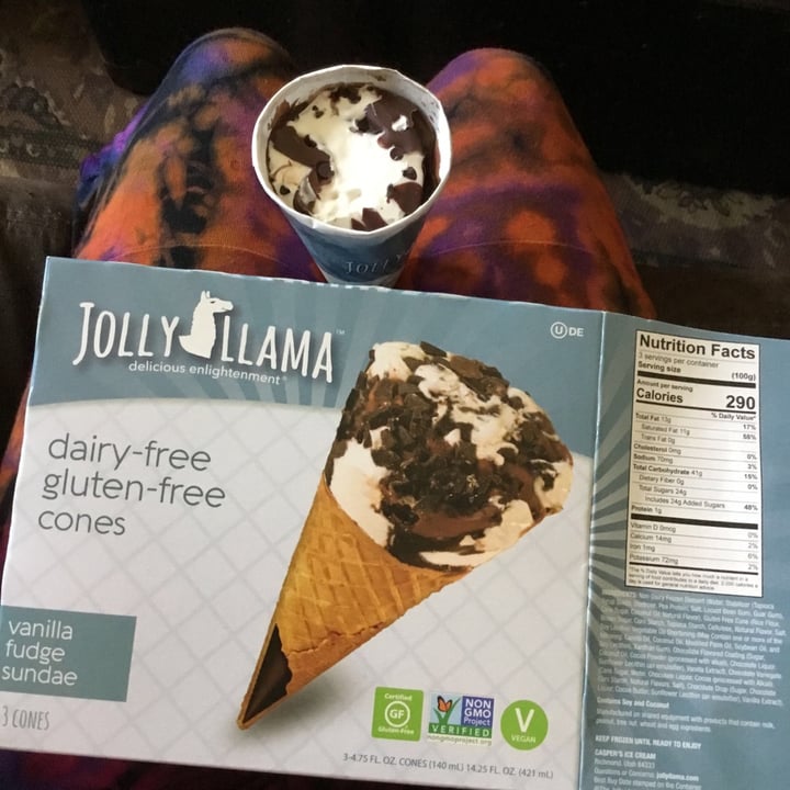 photo of Jolly Llama Vanilla Fudge Sundae shared by @vivalaviolet on  15 Mar 2021 - review