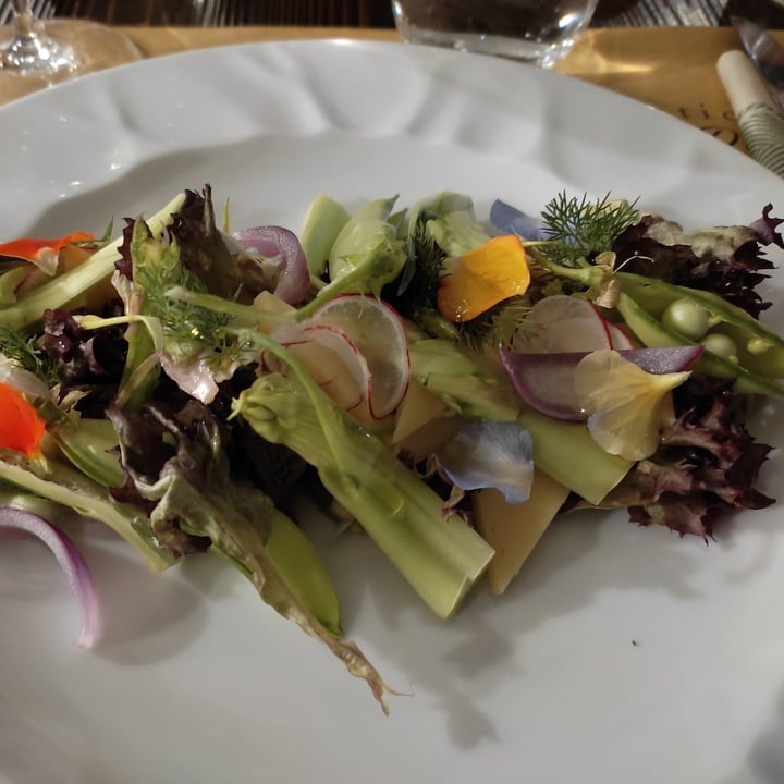review photo of Antica Osteria Da Zorro Insalata vegana shared by @diana17 on 15 Apr 2022 - review