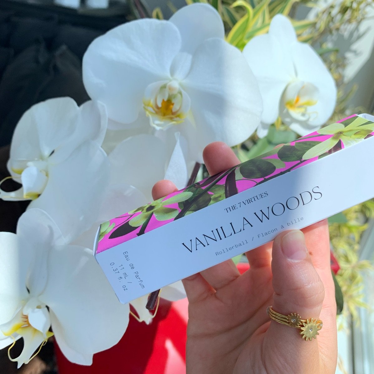 the 7 virtues vanilla