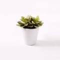 jadas @jadas profile image