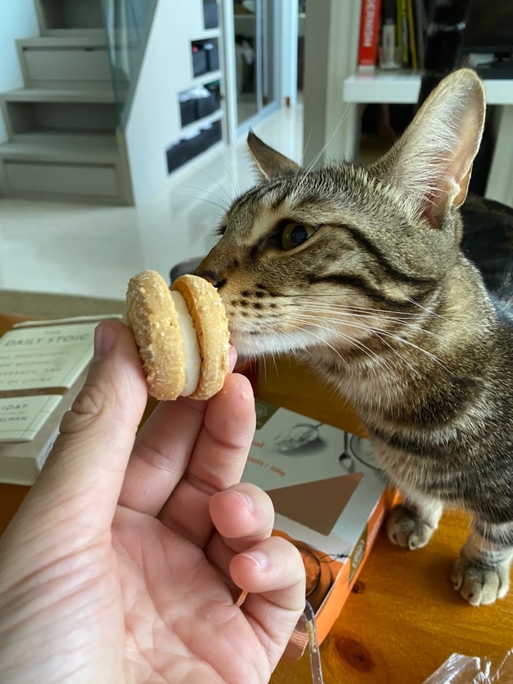 photo of House of Biskota Traditional YOYO Handmade Biscuits shared by @aarontorres on  24 Nov 2019 - review