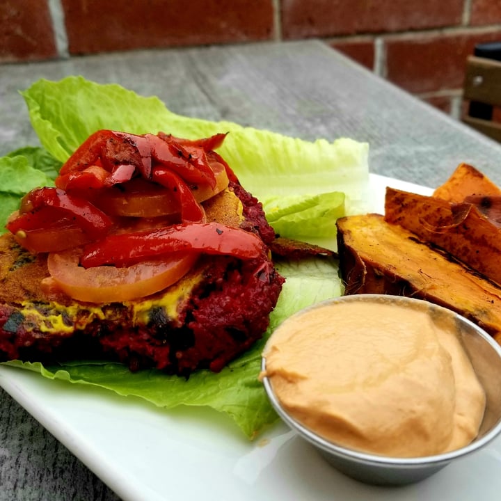 photo of Trilogy Sanctuary Can't Stop The Beet Burger shared by @chickpeaandlotus on  05 Aug 2020 - review