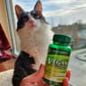 Holland & Barrett